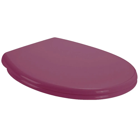 Tapa Asiento Para Baño Wc Universal Violeta-1