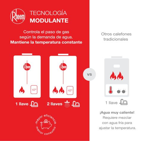 Calefont 10 litros Gas natural Tiro forzado Rheem-4