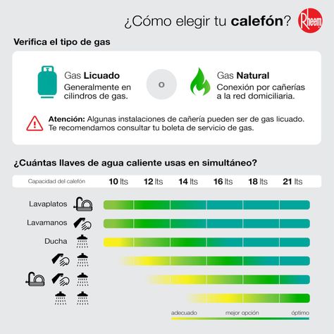 Calefont 10 litros Gas natural Tiro forzado Rheem-7