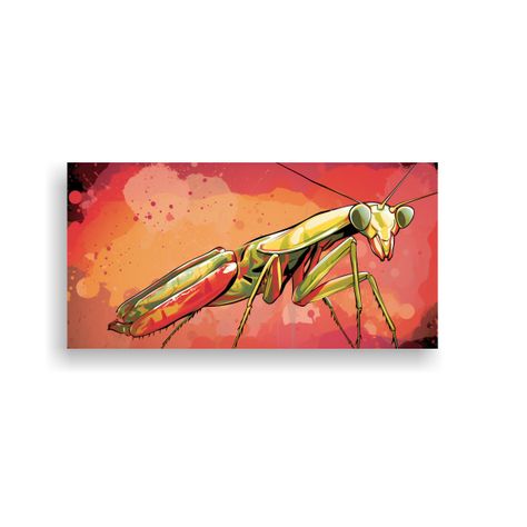 Cuadros Decorativos Expresan Personalidad: Mantis  100x50cm-0