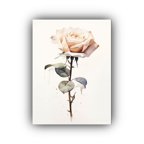 Impresionante Pintura De Rosa Blanca En Acuarela 50x75cm-0