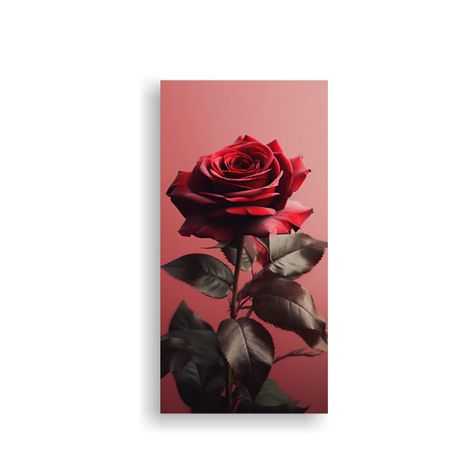 Fondo De Pantalla Minimalista Con Rosa Romántica 20x40cm-0