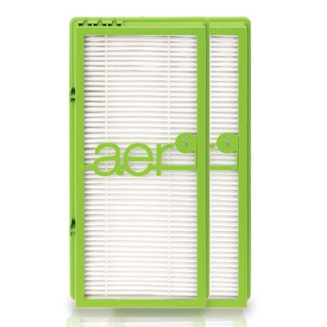 Filtro aire True Hepa Oster® OAER31905-0