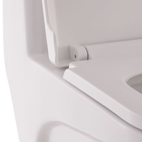 WC One Piece Domsa SD1001-300B-6