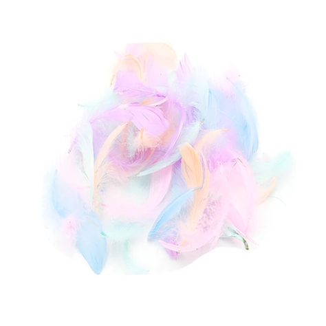 Plumas Decorativas Color Pastel 100pcs-0