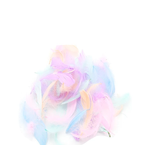 Plumas Decorativas Color Pastel 100pcs-1