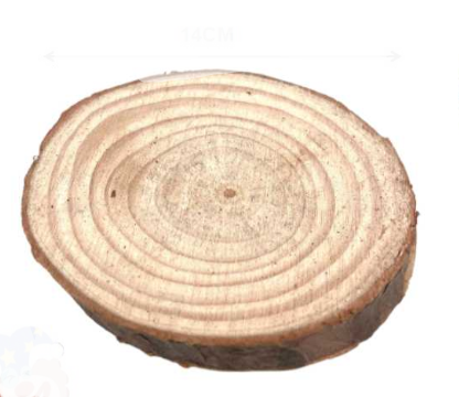 TROZO LONJA DE MADERA NATURAL MANUALIDADES-0