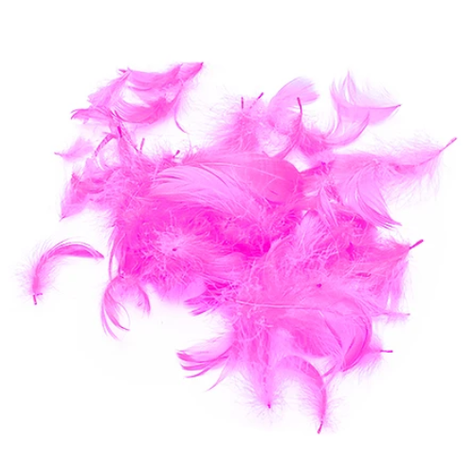 Plumas Decorativas Fucsia 100 pcs-0