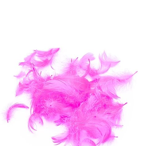 Plumas Decorativas Fucsia 100 pcs-1