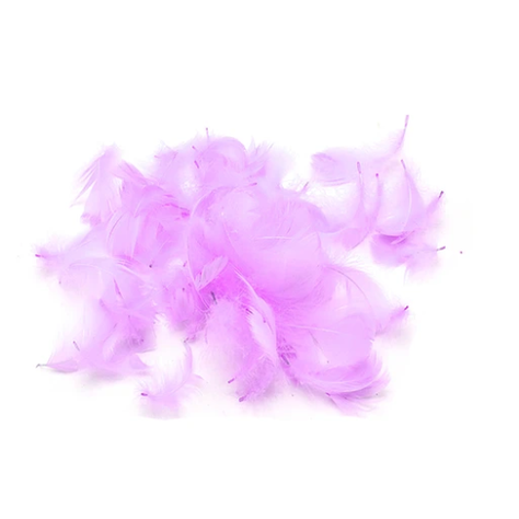 Plumas Decorativas Purpura 100pcs-0