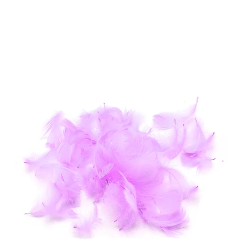 Plumas Decorativas Purpura 100pcs-1