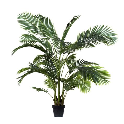 PALMERA 160 cm-0