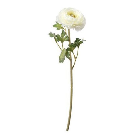 RANUNCULO WHITE 62 CM-0