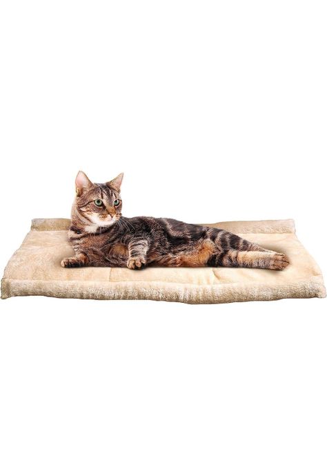 Cama Mascotas Túnel Gatos Lavable 2 En 1-1