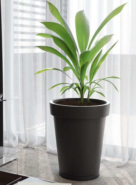 Macetero De Plástico Amalfi Modelo Clásica 55x46 Cm Y 54 Litros Con Plato-1
