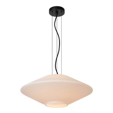 LAMPARA COLGANTE TREVOR Ø50 1XE27-2
