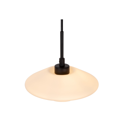 LAMPRA COLGANTE TREVOR Ø20 1XG9-1