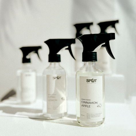 Spray Home Coco LH-1