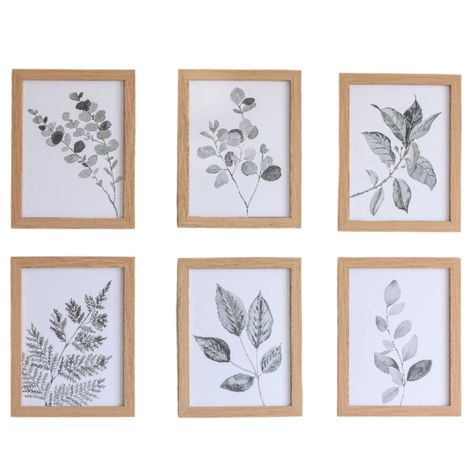 Set 6 Cuadros decorativos Botánico leaf-0