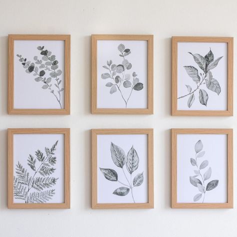 Set 6 Cuadros decorativos Botánico leaf-1