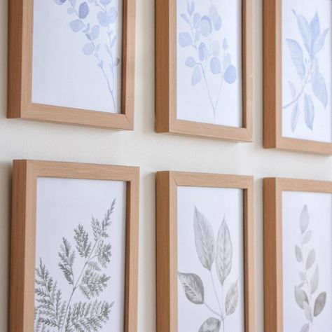 Set 6 Cuadros decorativos Botánico leaf-2