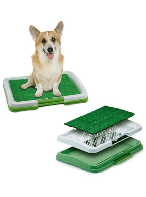 Baño sanitario ecologico para mascotas-1