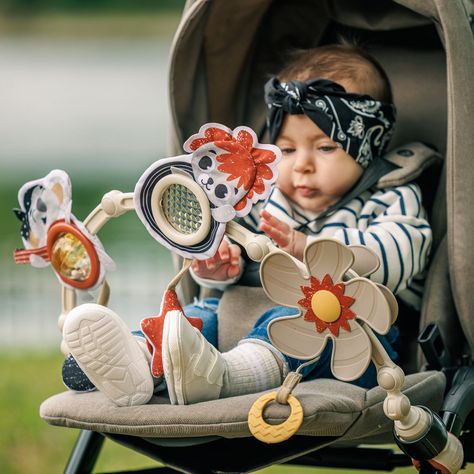 Arco Para Coche Tiny Rockers Tiny Love-6