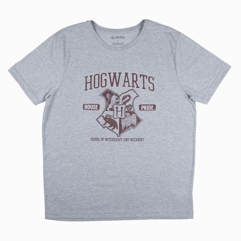 Polera Hombre House Pride Gris Harry Potter-0