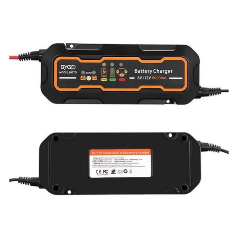 Cargador Batería BYGD 12v/6v-1