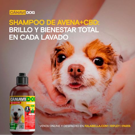 Shampoo avena más Aseites Esenciales-1
