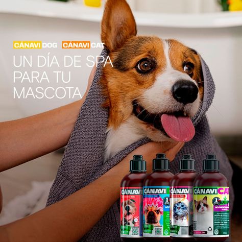 Shampoo avena más Aseites Esenciales-3
