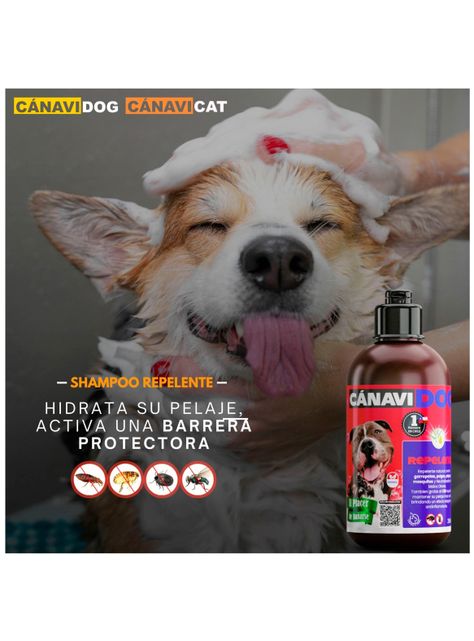 Shampoo Repelente- Aceites Esenciales, Eucaliptus y Menta-1