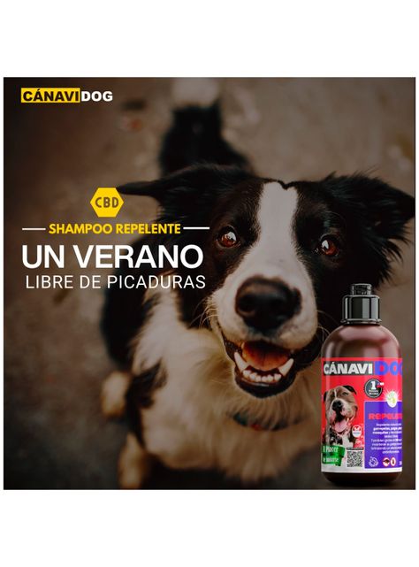Shampoo Repelente- Aceites Esenciales, Eucaliptus y Menta-2