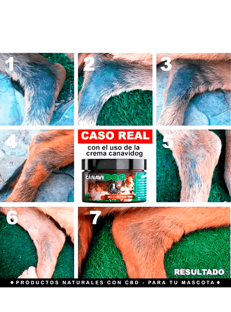 Crema Curativa CBD ORTIGA MATICO COLA DE CABALLO-1