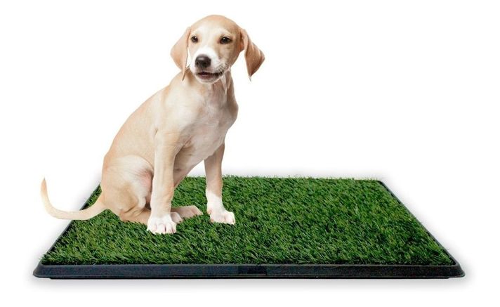 Baño ecológico perros gatos doggy potty 75x50 cm XXL-5
