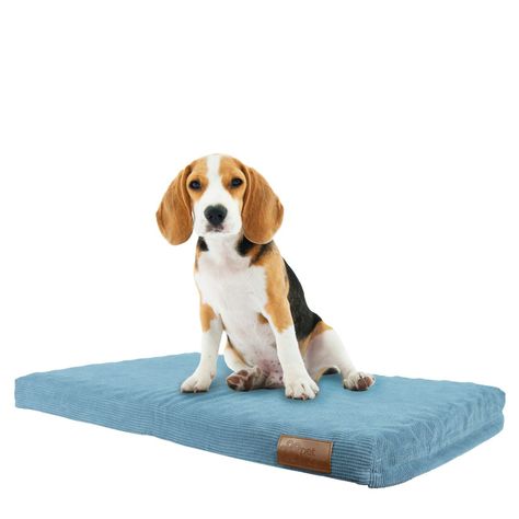 Cama para mascota perro rocky 74x48x6 cm M-0