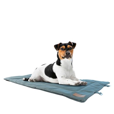 Cama para perro mascota toby enrrollable 112x67 cm petwoow-0