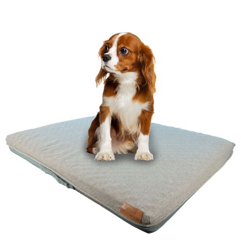 Cama para mascota perros y gatos Maite 80x67x10 cm M-0