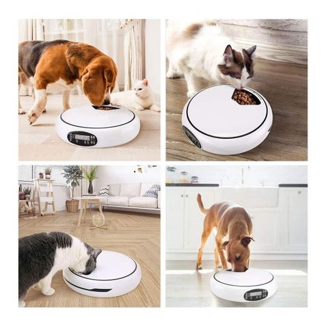 Alimentador automático perros y gatos petwoow-2