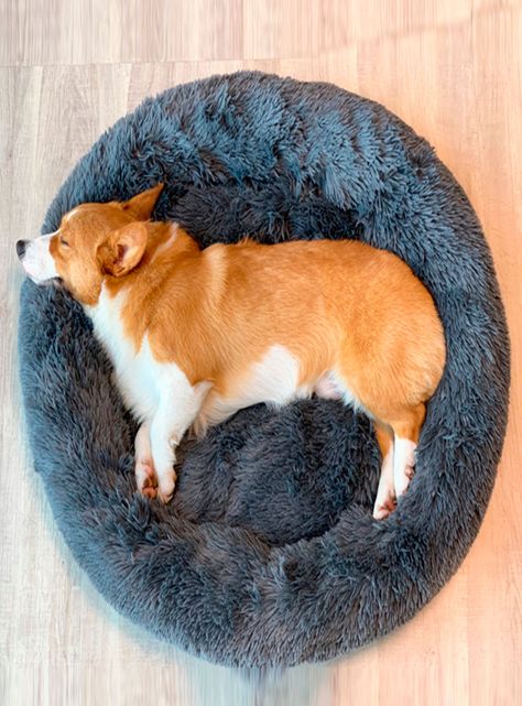 Cama para mascotas perros y gatos 76x76x17 cm gris oscuro-7