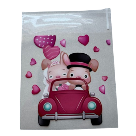 Bolsas San Valentin C 10x10+2cm autoadhesiva 100un-3