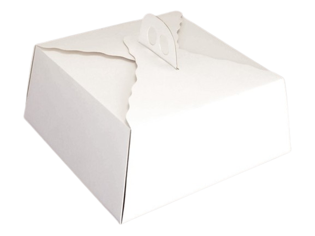Pack 5 Caja Torta Cuadrada Alta 35x15 cm-0