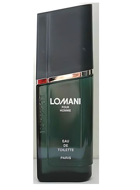 PERFUME  Lomani Pour Homme Edt 100ml-1