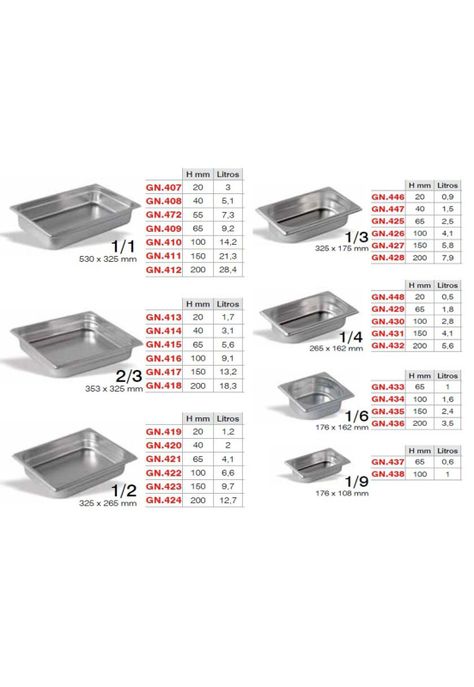 Contenedor Gastronomico Gn 1/1 X 2 Cms-2