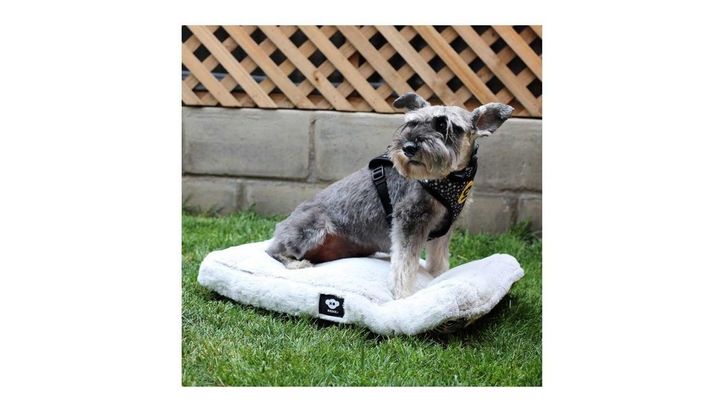 Cama Mascota Perro Gato Colchon Anti Estres 90x60cm Talla L-1
