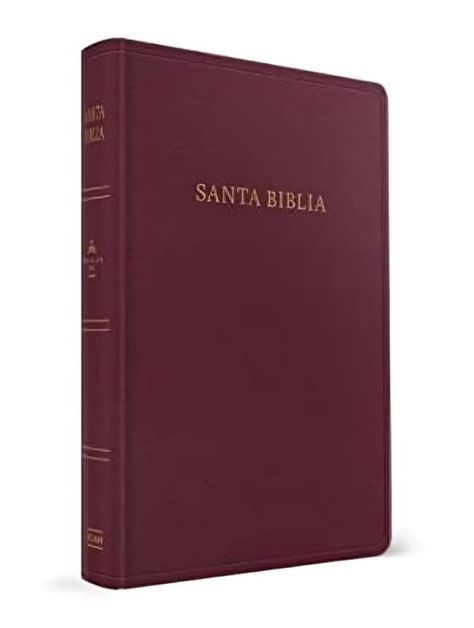 Biblia Reina Valera 1960 Letra Grande Tamaño Manual Borgon-0