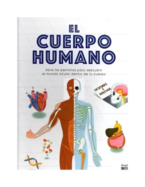 EL CUERPO HUMANO -DESCUBRE Y APRENDE- | MARNIE WILLOW | 1-0