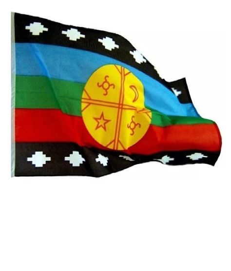 Bandera Mapuche Mediana 90 X 145cms, Poliester. Bf3-0