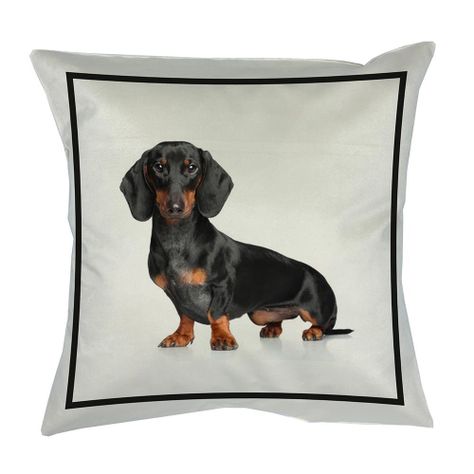 Cojín Classic Dachshund, 45x45-0