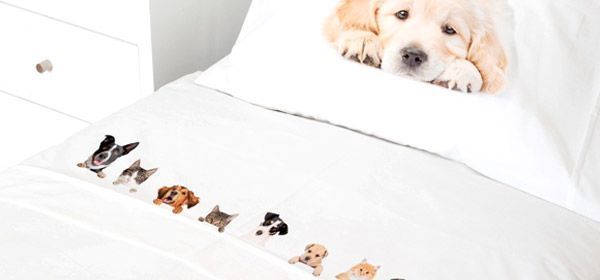 Juego de Sabanas 1,5 plazas Animal Friends-1